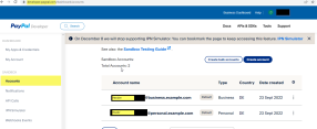 Auszug aus PayPal-Developer