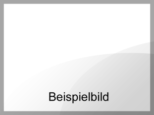 Beispiel-Bild