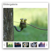 Bildergalerie Variante 0 mit Copyright-Text für Großbild