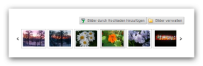 Bildergalerie-Variante 091 (Diavorschau horizontal mit Fancybox)