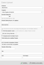 Formular: Element Datei-Upload (Einstellungen)