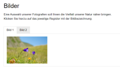 Registerlaschen-Inhalt nach Klick
