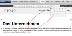 WYSIWYG-Feld mit markierten shy-Trennzeichen