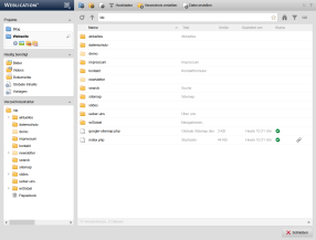 Dateiexplorer - Projekte